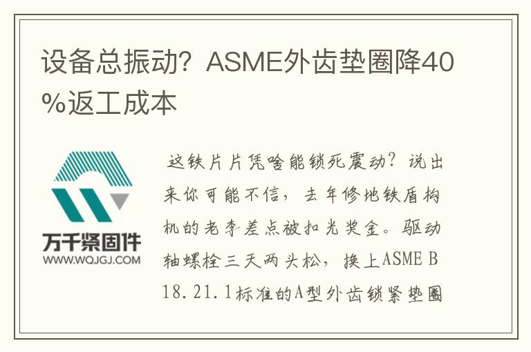 設(shè)備總振動？ASME外齒墊圈降40%返工成本