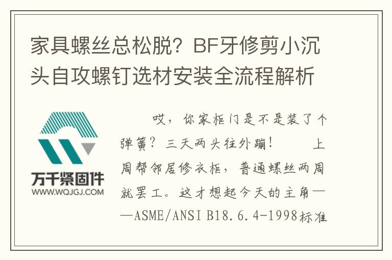 家具螺絲總松脫？BF牙修剪小沉頭自攻螺釘選材安裝全流程解析