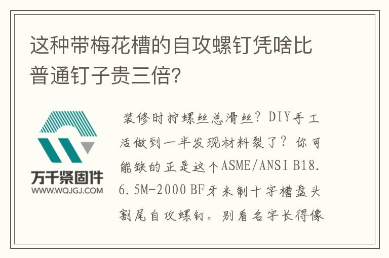 這種帶梅花槽的自攻螺釘憑啥比普通釘子貴三倍？