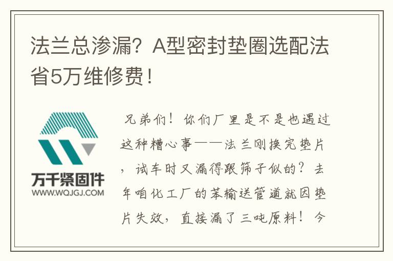 法蘭總滲漏？A型密封墊圈選配法省5萬維修費！