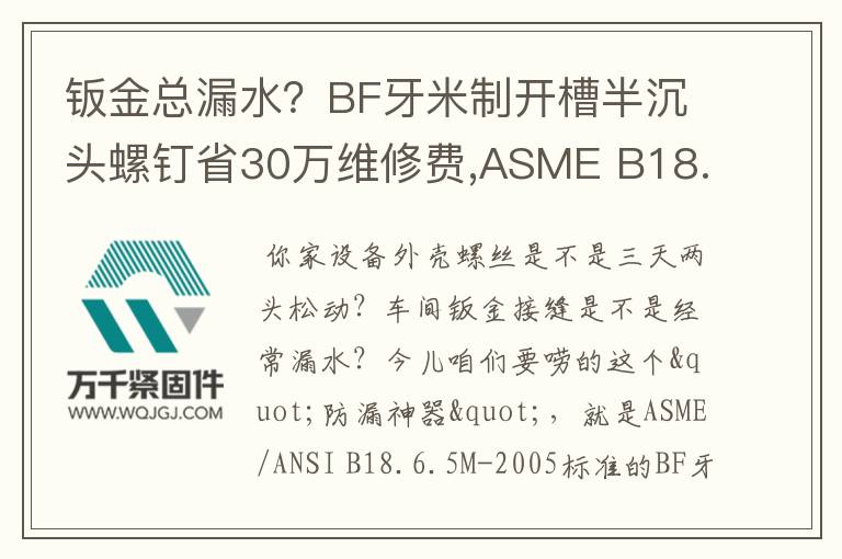 鈑金總漏水？BF牙米制開槽半沉頭螺釘省30萬維修費,ASME B18.6.5M-2005標準解析,自攻螺釘選購指南