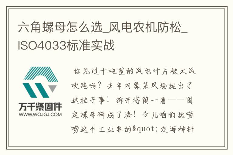 六角螺母怎么選_風電農機防松_ISO4033標準實戰(zhàn)